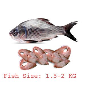 Raw Atlantic Salmon Skin