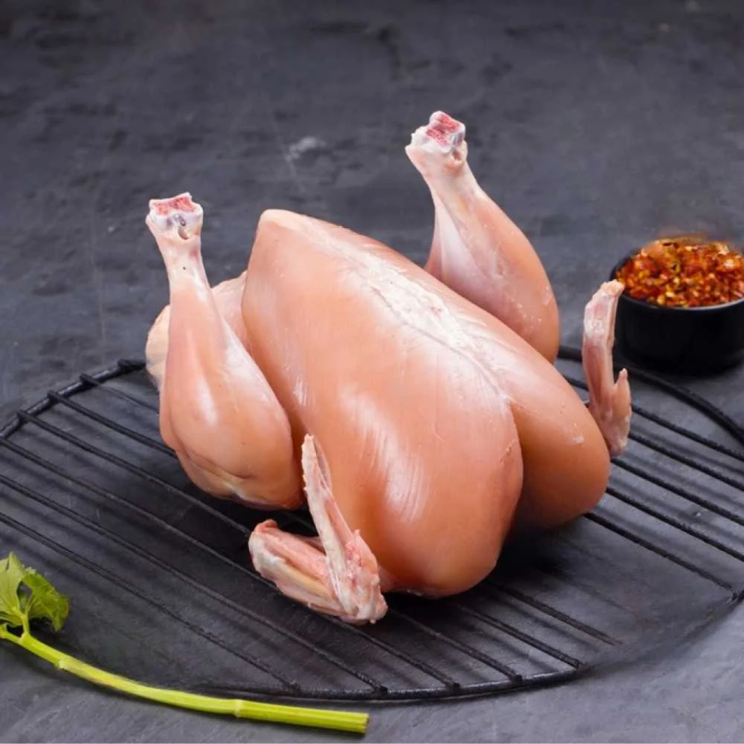 Chicken Broiler